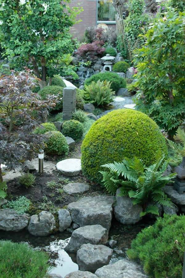 Plants For Japanese Garden Design