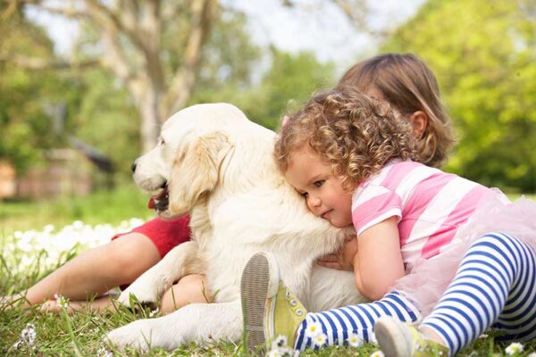 There are many options for child friendly pleached trees and pet friendly pleached trees