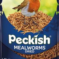 peckish mealworms