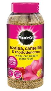 Miracle-Gro Azalea Camellia Rhododendron Food