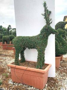 Animal Topiary Sculptures Wedding Topiary Horse Topiary