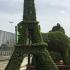 Unique Eiffel Tower topiary, expertly shaped from Ligustrum Jonandrum this amazing Topiary is 3.5 metres high, for sale online with UK delivery.