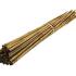 Garden Bamboo Support Canes