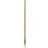  Kent & Stowe Stainless Steel Long Handled Lawn & Leaf Rake