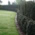 Two tiered Yew hedge for boundary screening, UK country garden